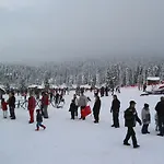 Mikri Arktos 2*