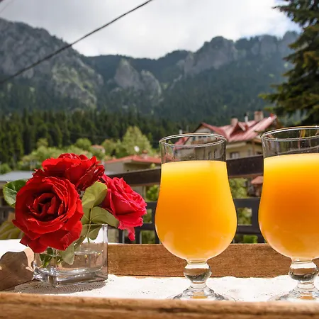 Mikri Arktos Hotel Eláti