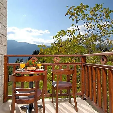 Mikri Arktos 2* Elati (Trikala)
